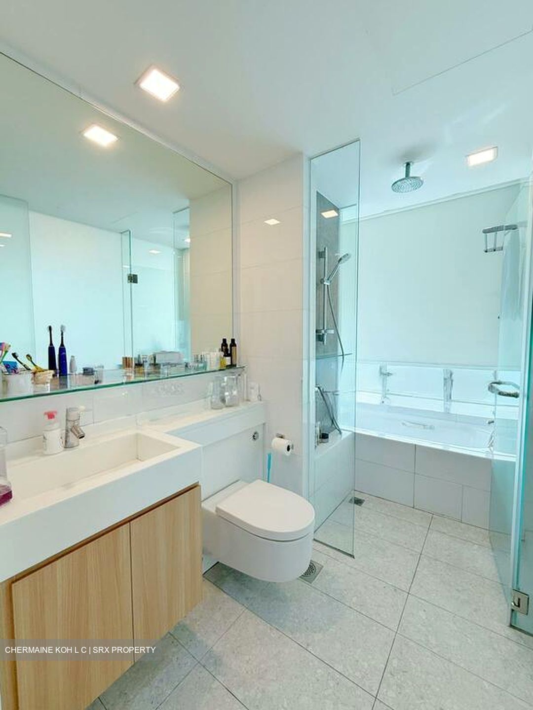 One Amber (D15), Condominium #508741041